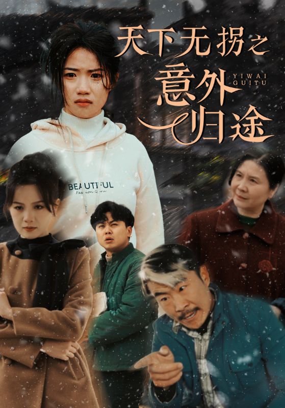 天下无拐之意外归途-封面图
